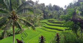 Adventure trail & culture trip in Java to Bali Island 5D 