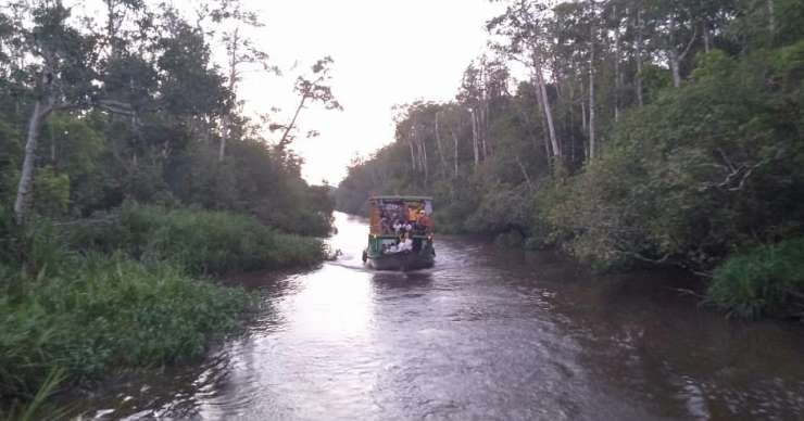 Houseboat river cruise and Borneo Orangutan tour, then to Bromo Ijen tours,- Bali 5D