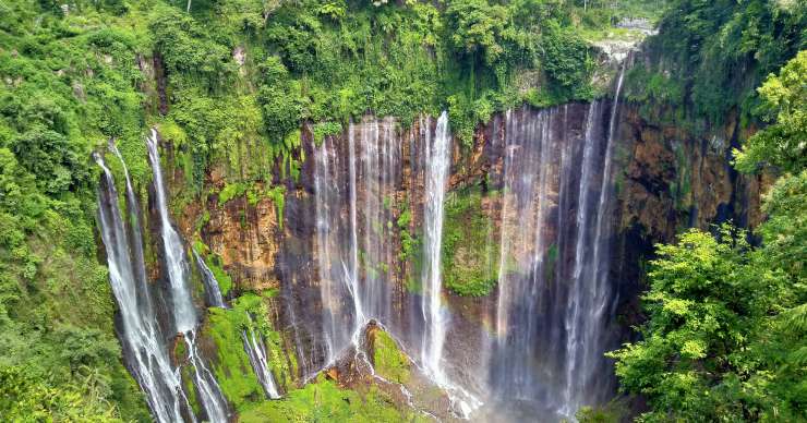 Malang or Surabaya to Tumpak Sewu and Ijen tour then do Orangutan tour Borneo for 6 days