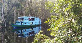 Borneo Orangutan package from Bali,- to Tumpak Sewu and Ijen tours 5D,- return