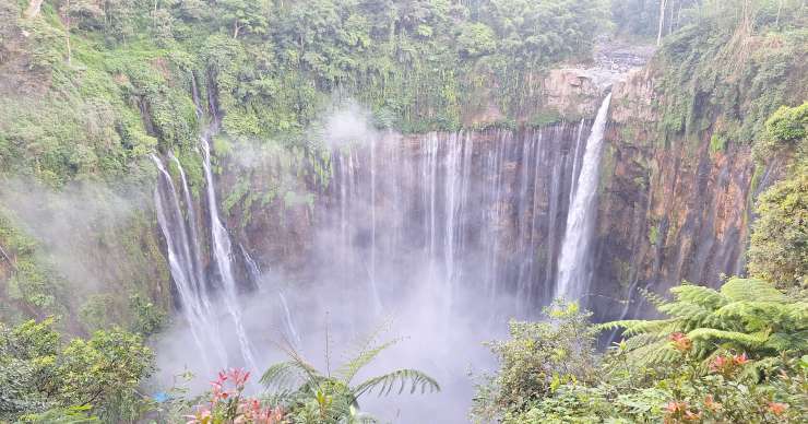 Best tour price for Ijen to Bromo tours with Tumpak Sewu waterfall trekking, and to Borneo Orangutan