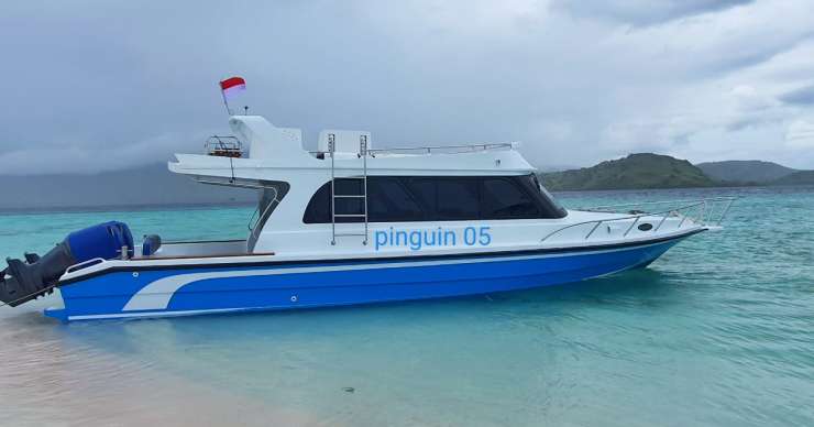 Full day hopping island trip, and Komodo tours by a speedboat - 1D holiday travel package