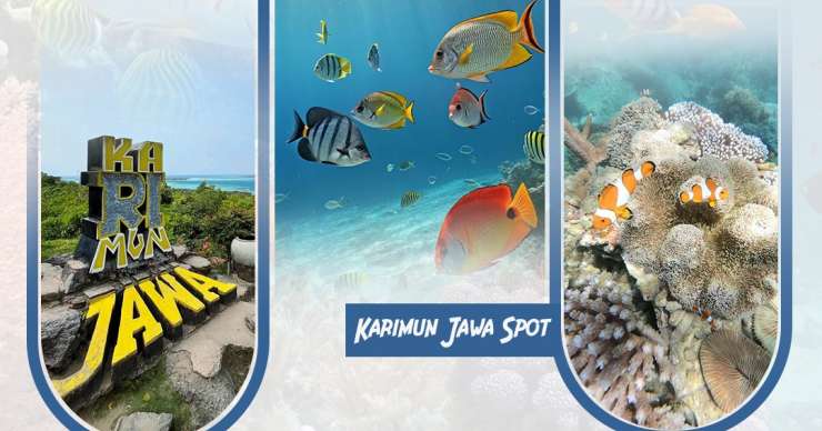 1 day Karimunjawa snorkeling and hopping island tours for your best holiday trip package
