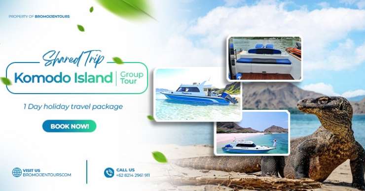 Shared day cruise trip of Komodo tour and Island hopping by Pinguin 01 speed boat - from Labuan Bajo
