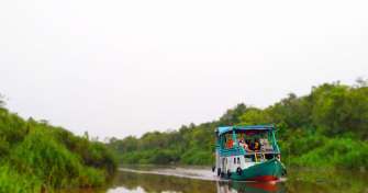 Orangutan tour Borneo, and jungle river cruise trip by a shared house boat travel 3D2N