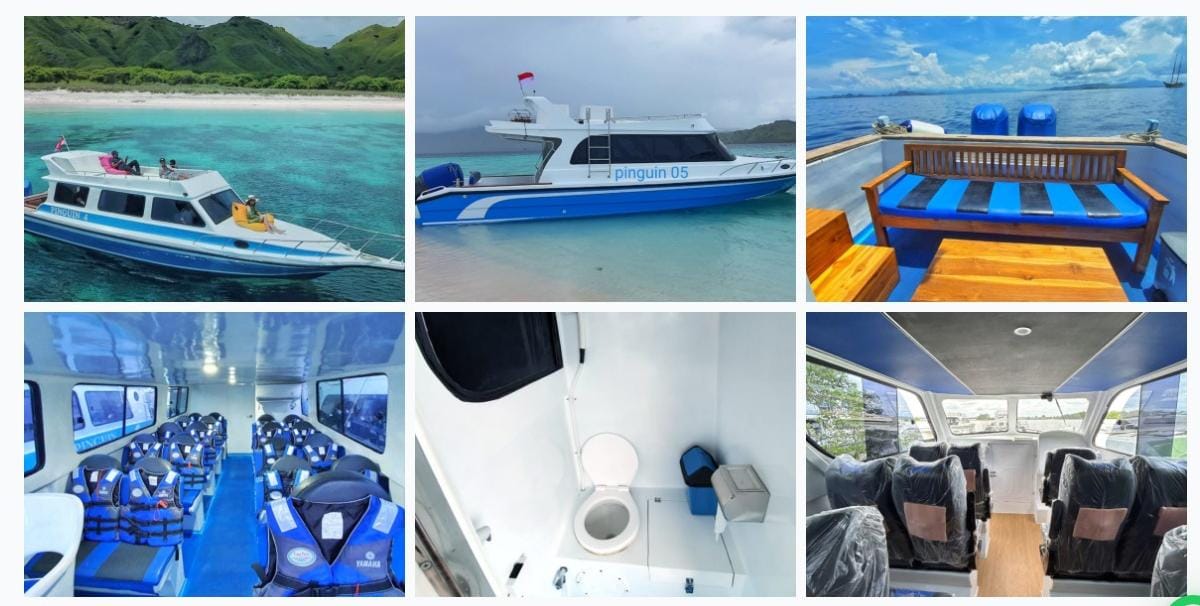 Private day cruise of Komodo tour by Penguin speedboat