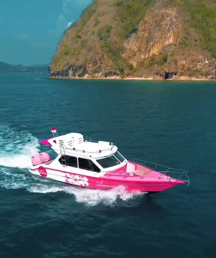 komodo day cruise tour by amankila speedboat