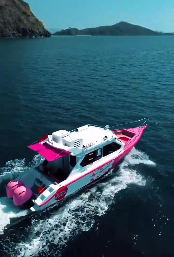 komodo tour 1 day by speedboat