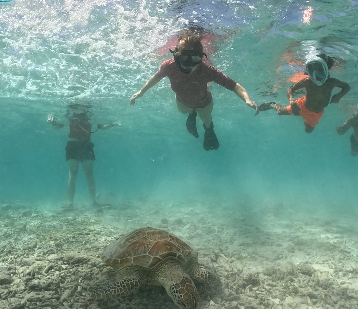 day snorkeling tour 3 gili lombok, snorkeling tours 3 gili lombok, lombok snorkeling tours, 3 gili snorkeling tours